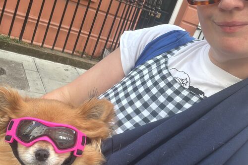 Tallulah