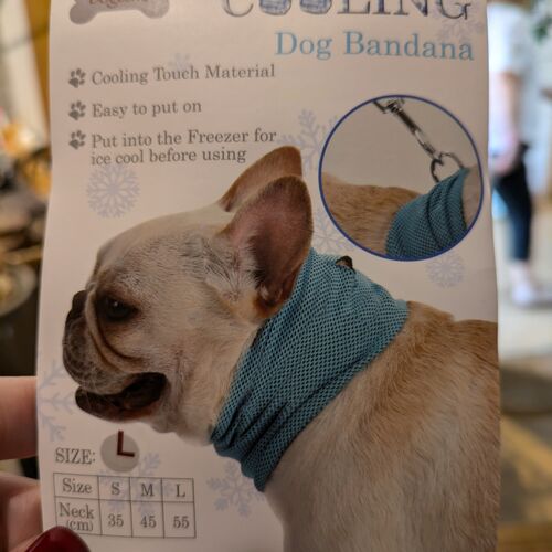 Dry Dog Cooling Bandana