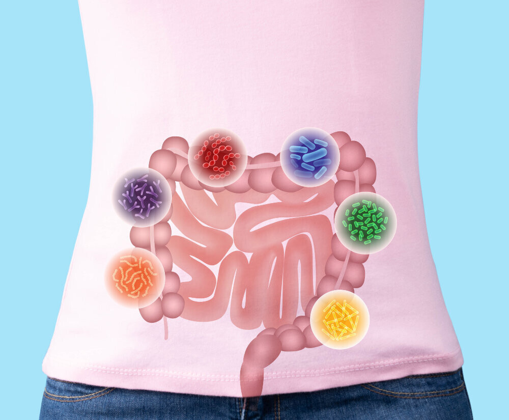 Gut Health Nutritionist