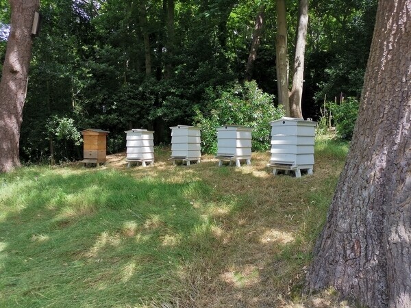 Hives we use