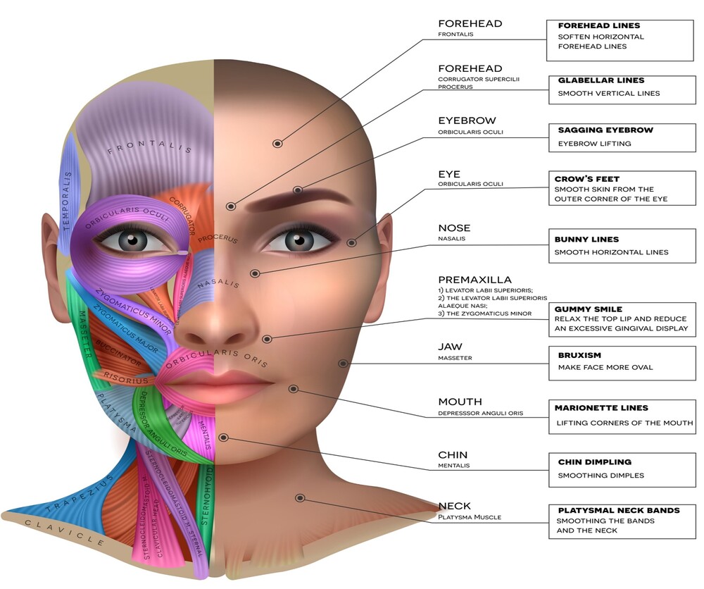 commonly asked questions about botox treatments