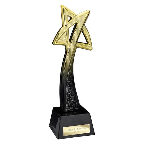 Star Maker Award Gold & Carbon Black