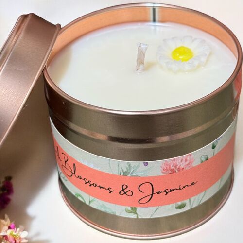 The Tinned Collection