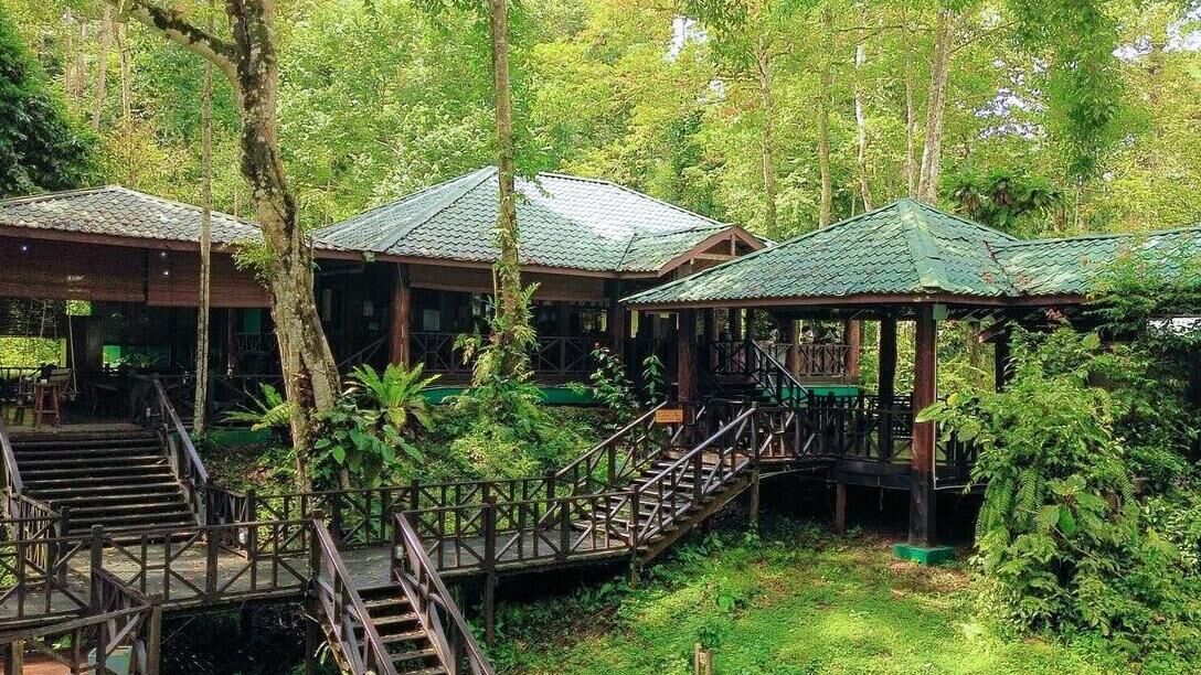Tabin Wildlife Resort