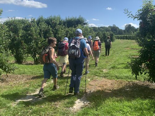 The Canterbury Trails 2026