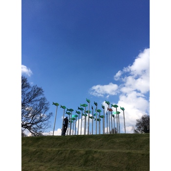 Ground anchor sockets for column structures