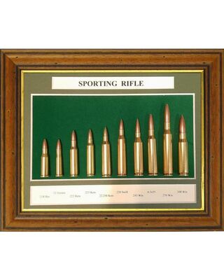 Sporting Rifle Collection