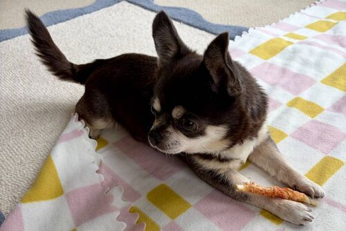 Rupert