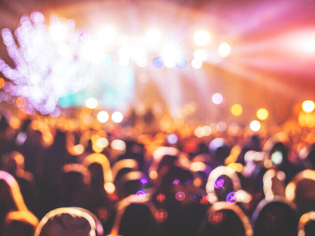 Event Security & Crowd Management