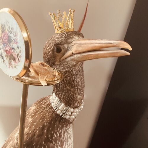 Large Taxidermy Cormorant