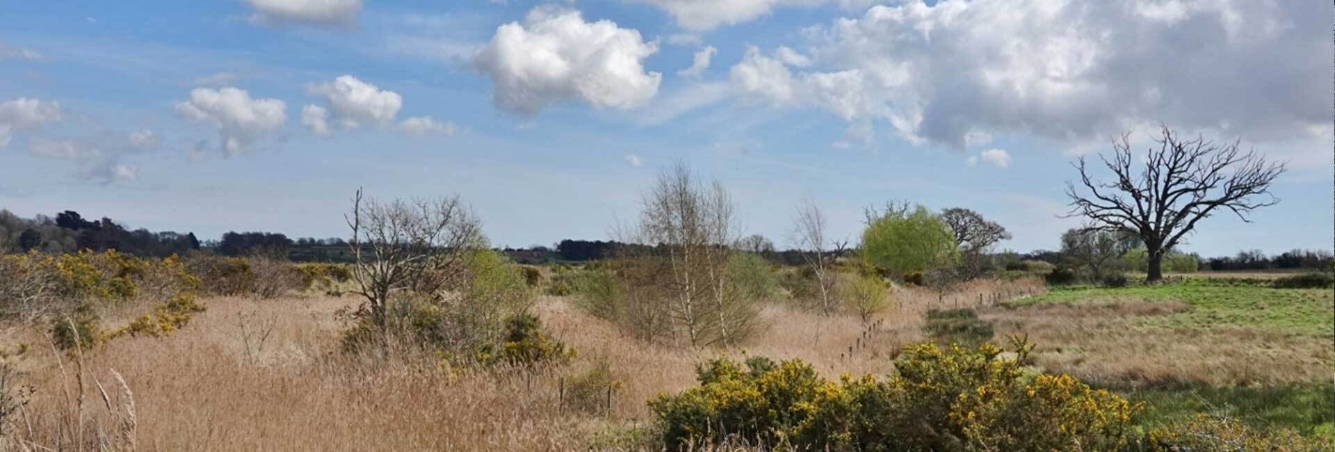 Martlesham parish council meeting