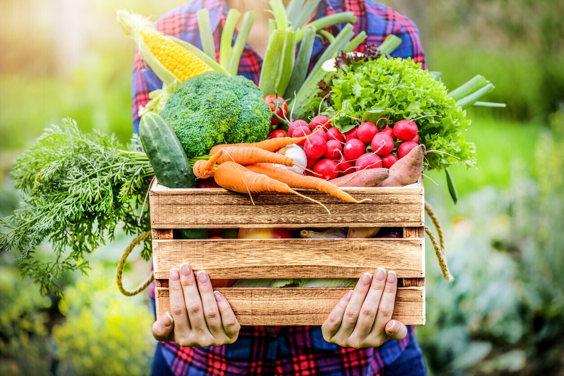 Hamptons Organic