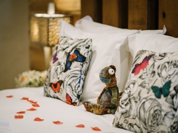 Deluxe Suite/Apartment - "Butterfly Suite"