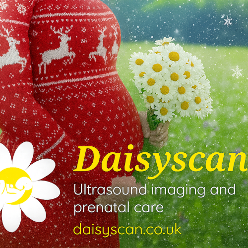 🎄 Celebrate Christmas Jumper Day with Daisyscan! 🍼