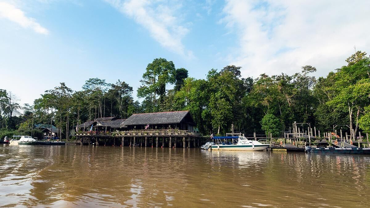Sukau Rainforest Lodge