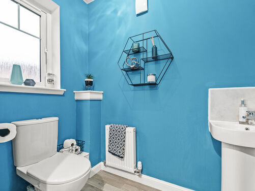 Lapwing Place, Alloa, FK10 1SJ