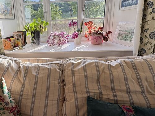FULL - Stepping into Spring - Foraging and Flowers