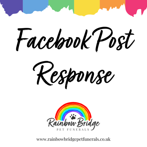 Latest News | Rainbow Bridge Pet Funeral Services