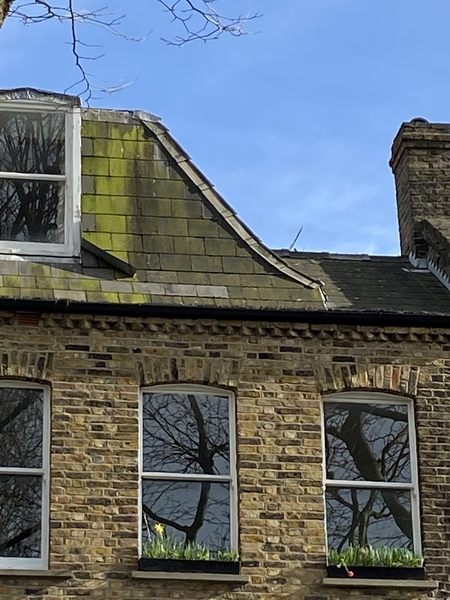 Should I get a structural survey done for a large flat?