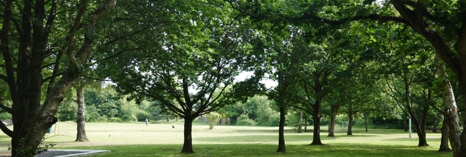 Martlesham parish council meeting