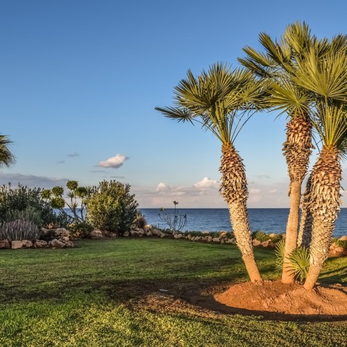 Why are topographical surveys essential for landscape design?