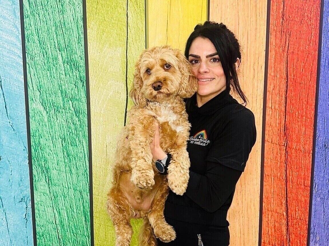 Meet The Team | Rainbow Bridge Pet Funerals