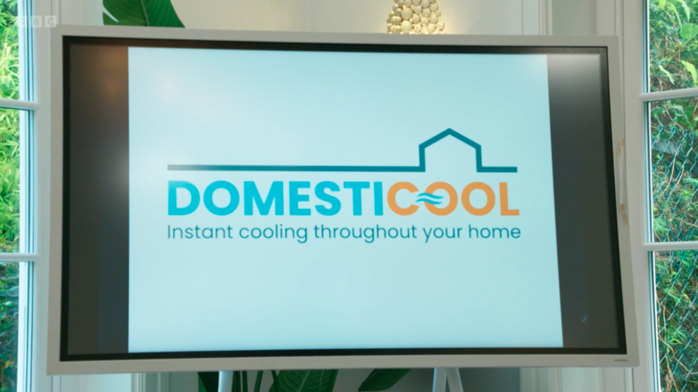 The apprentice final logo design for Domesticool. A blue and red logo design.