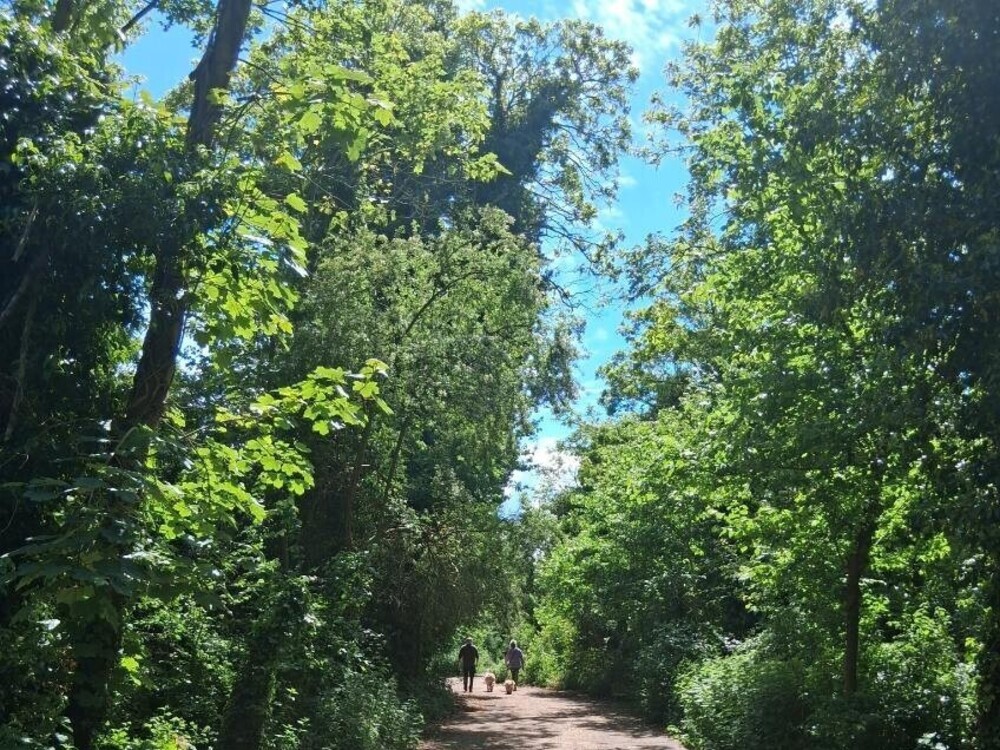 Portal Woodlands Sale | Martlesham Parish Council | Martlesham parish council planning | Martlesham parish council meeting | Martlesham parish council finance