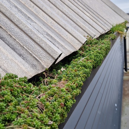 Roof and Gutter Cleaning 