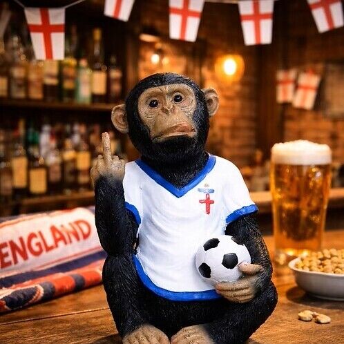 Sitting up yours England chimp.