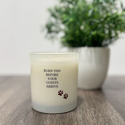 Burn this before your guests arrive candle
