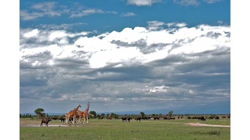Clouds over the waterhole