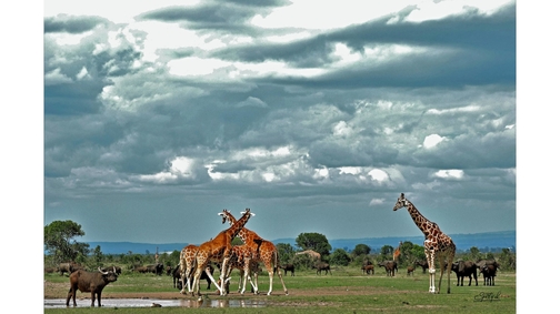 Clouds over the waterhole2