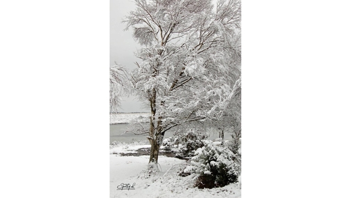 Snow at Hatchetts Pond2