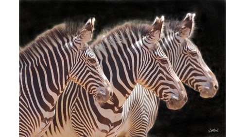 Grevy Trio