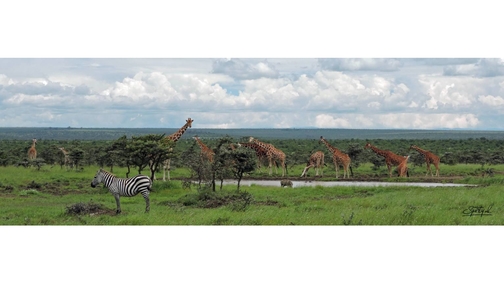 Waterhole at Ol Pejeta