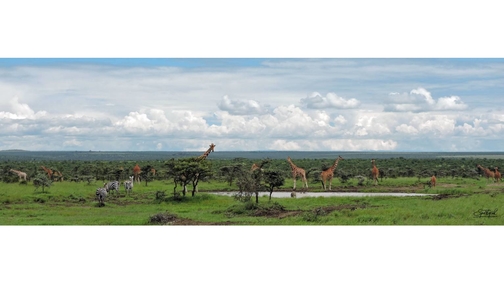 Waterhole at Ol Pejeta4