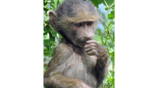 Where did I leave that