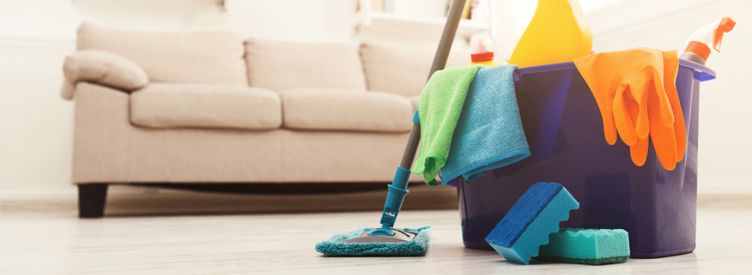 Domestic Cleaner Plymouth