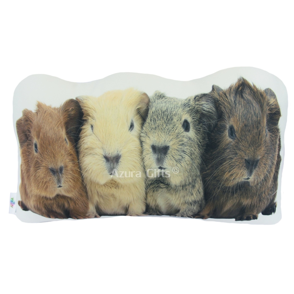 Guinea Pig Shaped Cushion