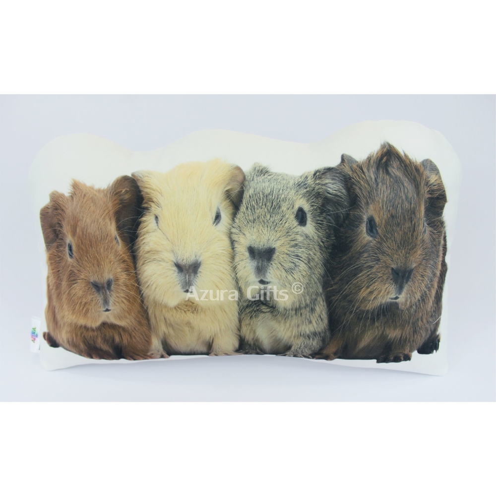 Guinea Pig Shaped Cushion