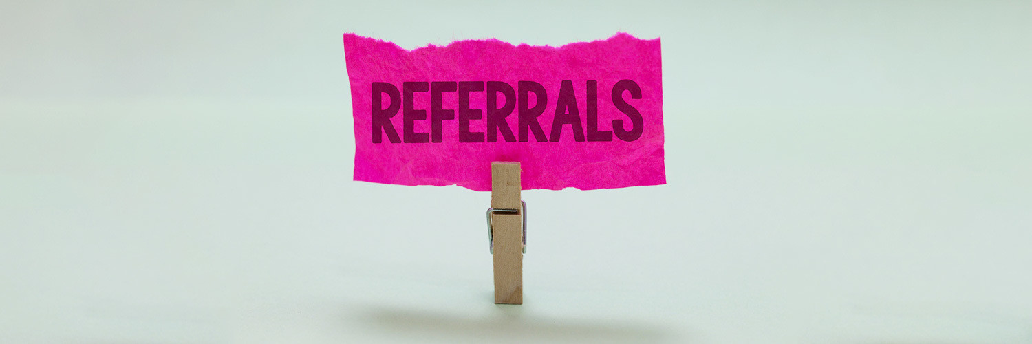 Professional Enquiry