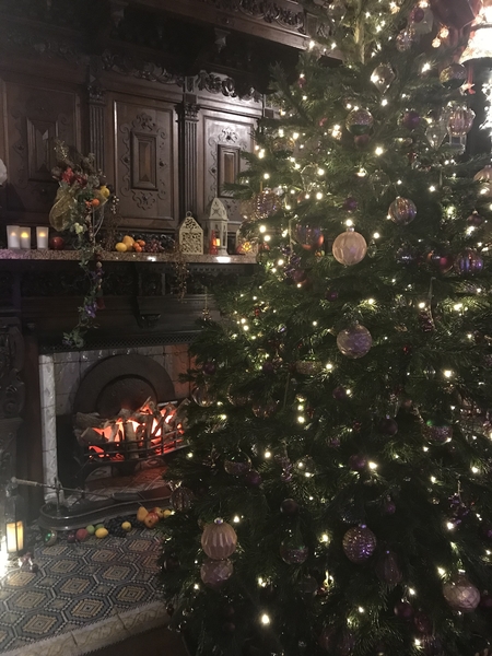 Christmas in English host family