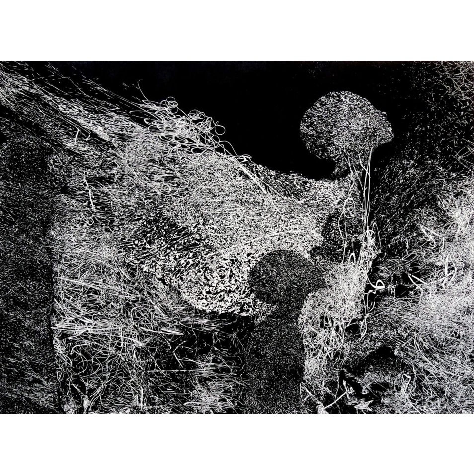 Who are we? Where do we come from? Where are we heading to?