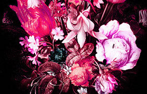 Electric Scent Review