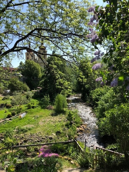 First International Homecoming Week for 2020 announced