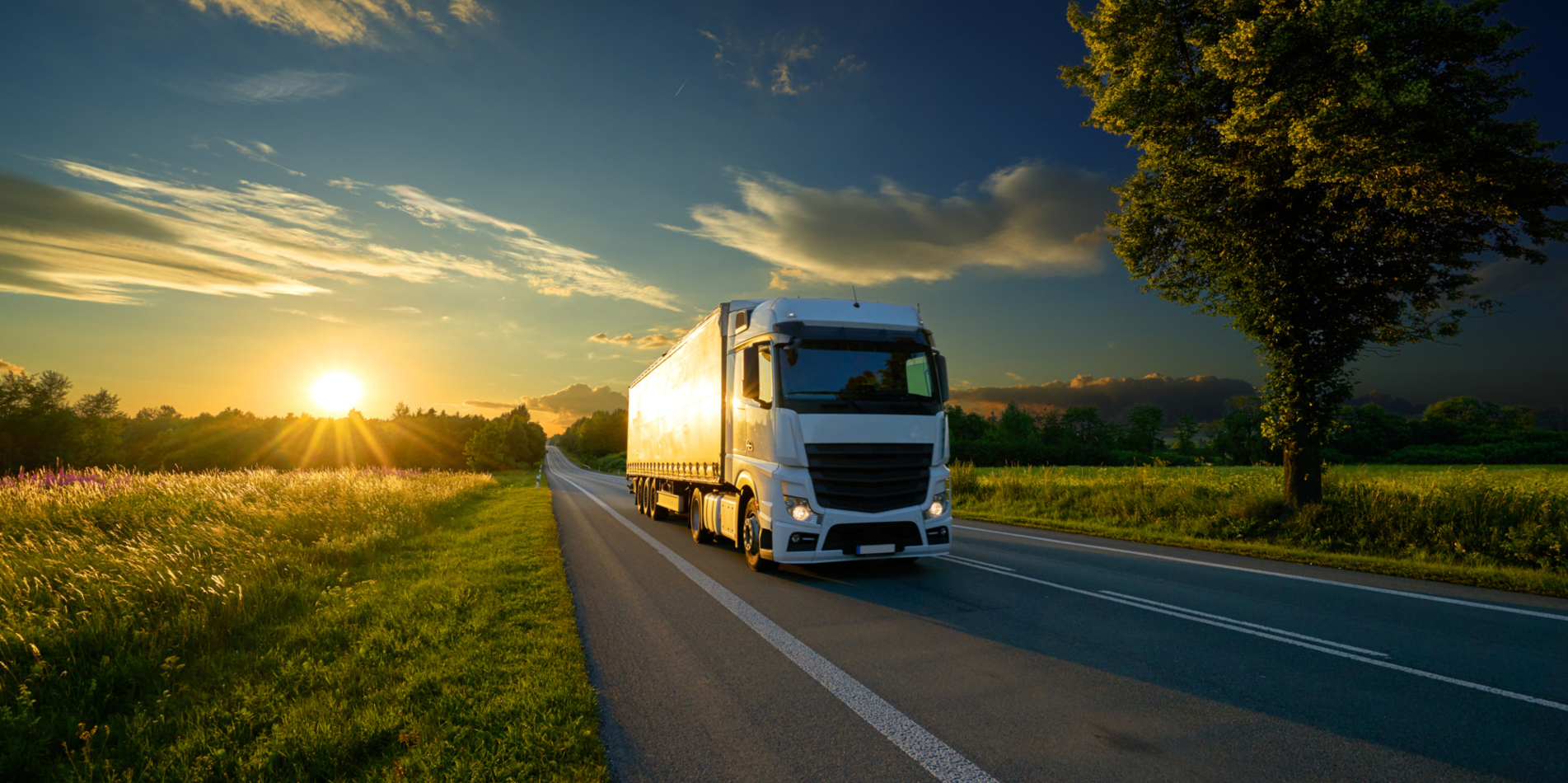 Overnight delivery Kent & Sussex