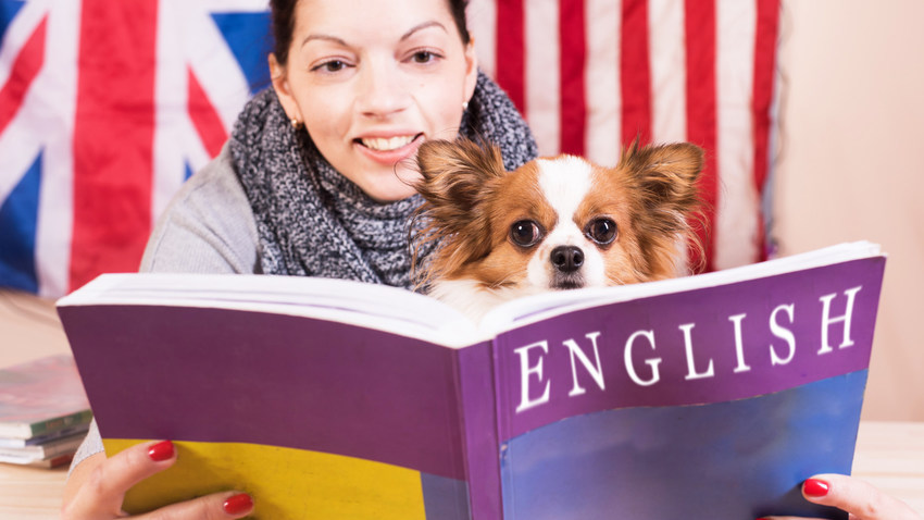 English Tuition