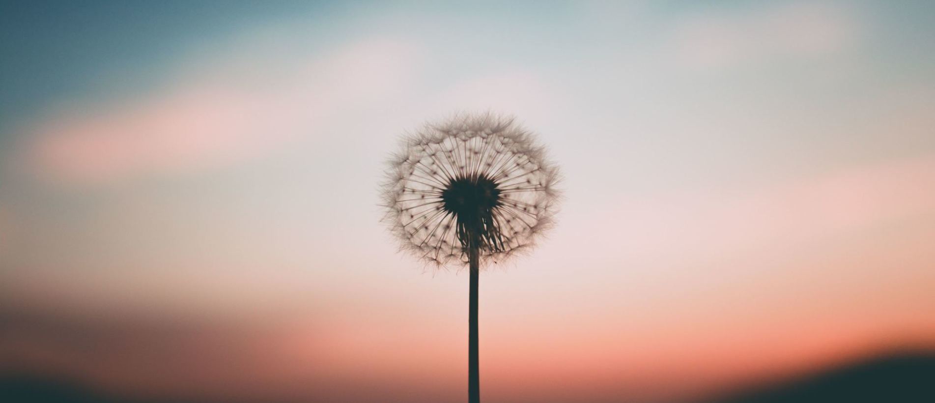 Hypnotherapy and support for anxious teenagers Waverley