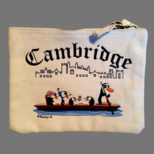 'Punting in Cambridge' Accessory Bag